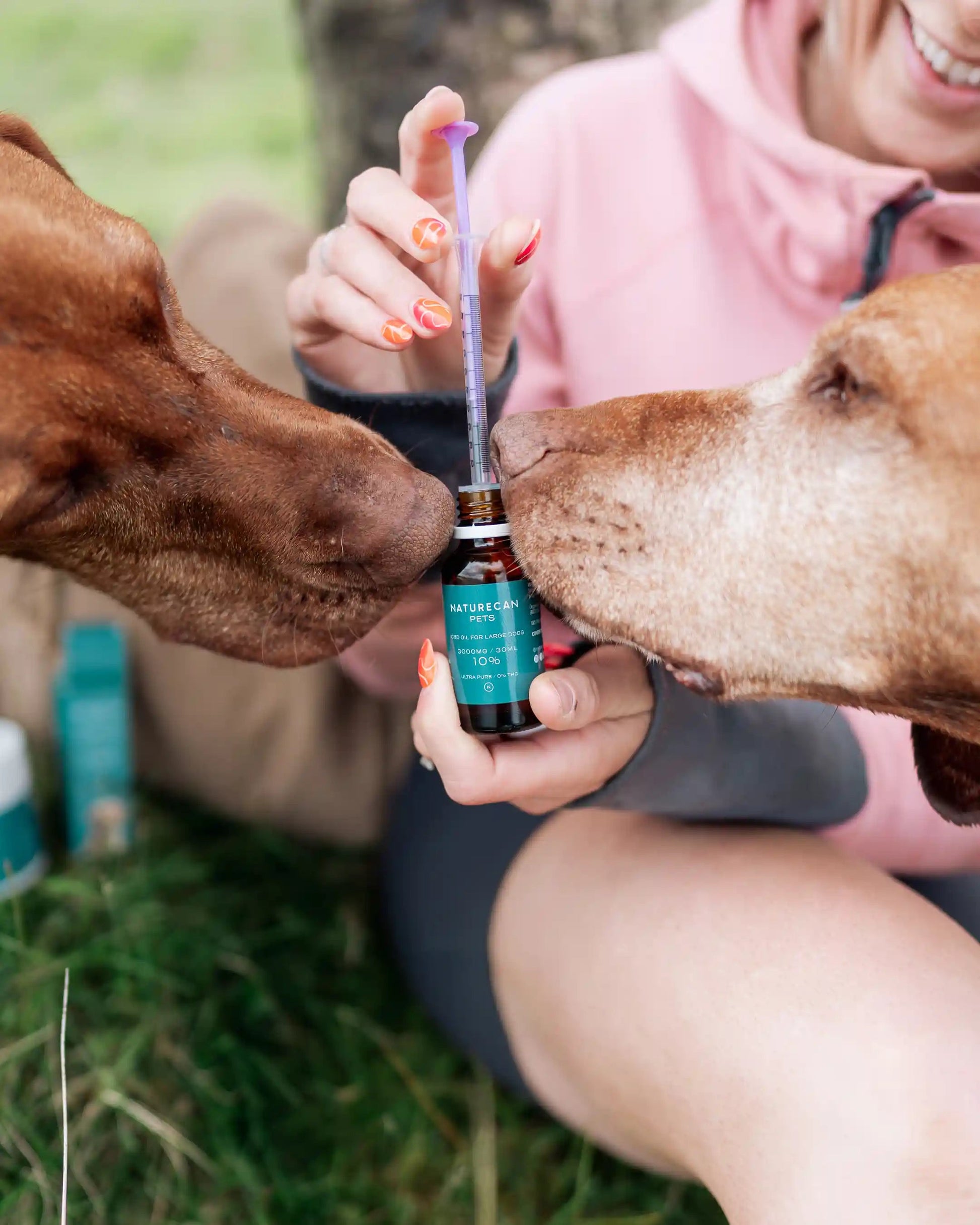 Girl giving her dog CBD oil with syringe